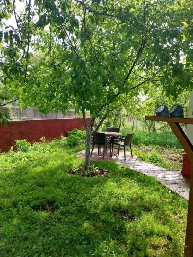 a table and chairs under a tree in a yard at Riza Guest House in Pukë