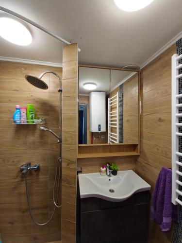 a bathroom with a sink and a shower and a mirror at Brvnara Marinković na Sekulićima in Sekulić 