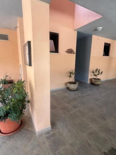 an empty room with potted plants in a building at Camelia's House in Olbia