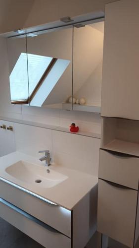 a bathroom with a sink and a mirror at Ferienhaus Zum Birkenwäldchen in Kützkow