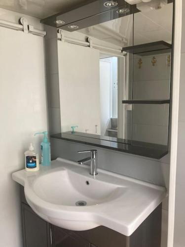 a bathroom with a white sink and a mirror at Une nuit, la vie avec Marie Lou in Venette