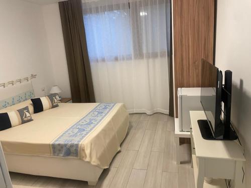 a bedroom with a bed and a desk and a television at Camelia's House in Olbia