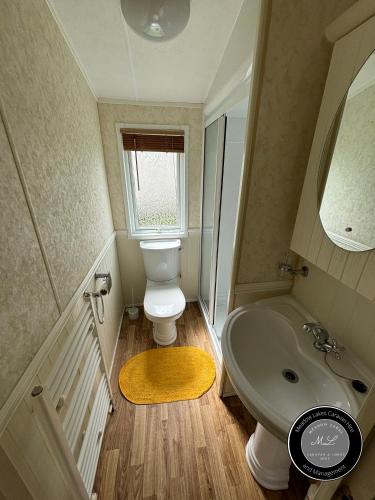 a small bathroom with a toilet and a sink at Parkside 41 - Located on Butlins Skegness Caravan Village, WiFi - Meadow Lakes Caravan & Lodge Hire in Lincolnshire