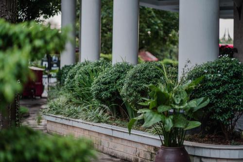 Κήπος έξω από το MAY PLAZA HOTEL