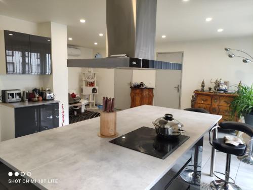 ストラスブールにあるMurat appartement 3 piecesのティーケトルが置かれたアイランドキッチン