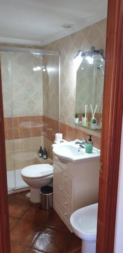 a bathroom with a sink and a toilet and a shower at Apartamento Salas in Ronda