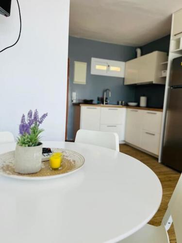 Gallery image of Seaside Lavrio Beach House in Sounio