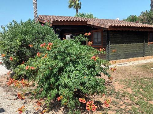Κήπος έξω από το Entre Viejos Olivos