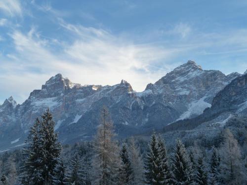 a snow covered mountain range with trees in the foreground at Appartamenti da Nica e Diego in Borca di Cadore
