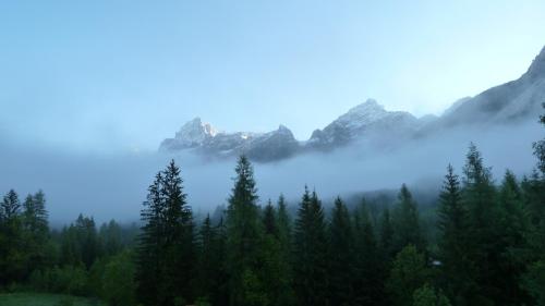 a foggy valley with trees and mountains in the background at Appartamenti da Nica e Diego in Borca di Cadore