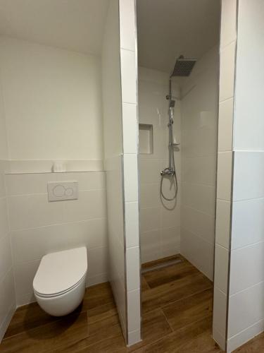 a white bathroom with a toilet and a shower at Tkalcovna U Zlatého potoka in Dobřany