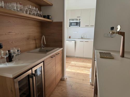 a kitchen with a sink and a counter top at Tkalcovna U Zlatého potoka in Dobřany