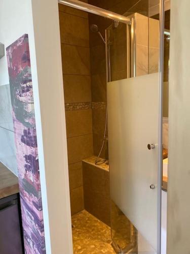 a shower with a glass door in a bathroom at Le Sun Tassin - Clim & Proche Campus du numérique in Tassin-la-Demi-Lune