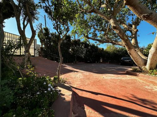 a shady street with trees and a parking lot at Riad Dar Achaach in Tetouan