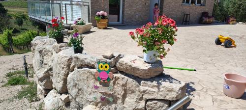 a garden with flowers on a rock with a smiley face at GioiaVitae - Bed-in-Botte - Dormire in vigna in Luogosano