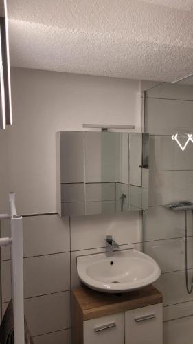 a bathroom with a sink and a mirror at Ferienwohnung Molly in Neusitz