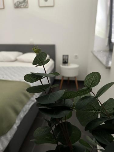 Postel nebo postele na pokoji v ubytování AURORA Apartment Banovci