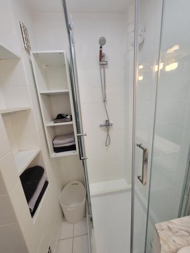 une salle de bain avec une douche avec une porte vitrée dans l'établissement Cosy 2 Pièces proche Paris, à Les Pavillons-sous-Bois