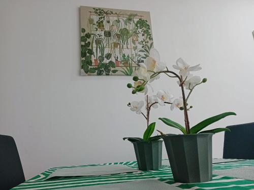 City Centre Apartments, Free Parking - Quality City photo 25