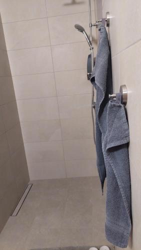GrahovoにあるBobnaricaのシャワー&タオルが掛けられた壁