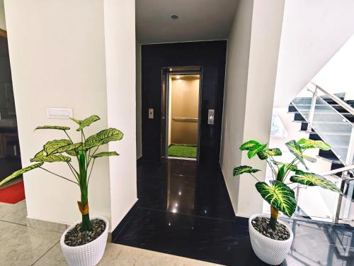 two potted plants in a hallway with a door at Hotel Pines And Peeks By Tws Hotels in Dalhousie