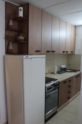a kitchen with wooden cabinets and a refrigerator at Hedonic apartment in Ćuprija
