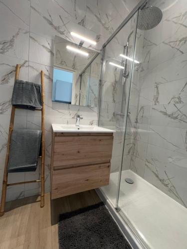 un bagno con lavandino e doccia di Studio Sydney - Jean Médecin - LA RIVIERA LCD a Nizza