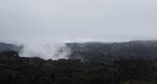 a view of a misty mountain with trees at Orion Glamping Hospedagem Domo Geodésico em Urubici in Urubici