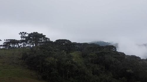 a misty mountain with trees on a hill at Orion Glamping Hospedagem Domo Geodésico em Urubici in Urubici