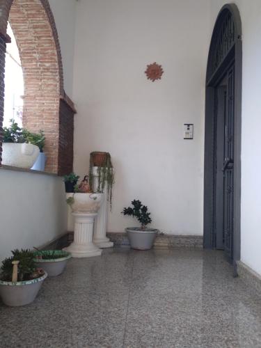 a hallway with potted plants and an open door at Turisti a Casa mia in Santa Maria La Carità