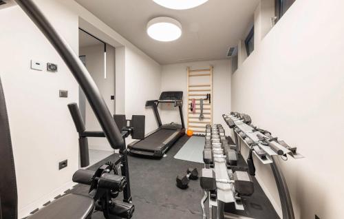 a gym with several tread machines in a room at Pet Friendly Home In Rukavac With Sauna in Rukavac
