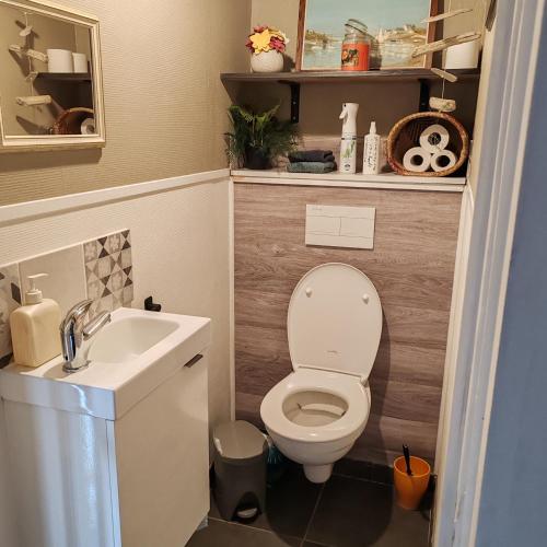 une petite salle de bain avec toilettes et lavabo dans l'établissement Le gîte du courtil, à Tressé