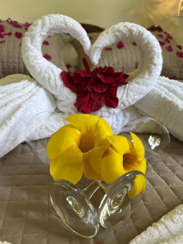a glass vase with yellow flowers in front of towels at Pousada Colibri in Morro de São Paulo