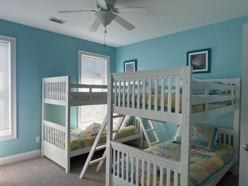 two bunk beds in a room with blue walls at Most Requested 16 Br Oceanfront Home in Holden Beach in Holden Beach
