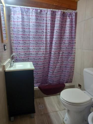 baño con aseo y cortina de ducha rosa en Cabaña del Lago, en San Carlos de Bariloche