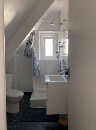 une salle de bain avec un lavabo et des toilettes et une fenêtre dans l'établissement Charmante Maison centre Bourg de crac'h Golf du morbihan, à Crach