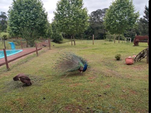 Taman di luar Sítio na Colina