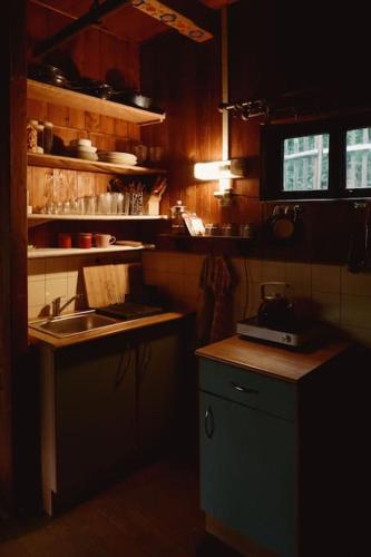 a kitchen with a sink and a counter top at Chaloupka 35 in Slapy