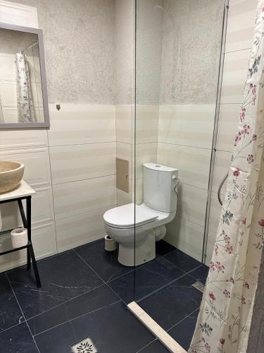 a bathroom with a toilet and a glass shower at Pensiunea CASA VISELOR in Sviniţa