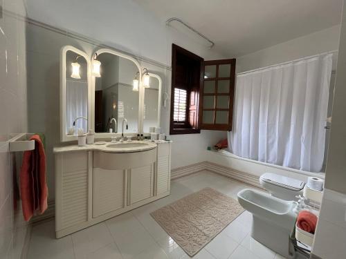a bathroom with a sink and a toilet and a mirror at Appartamento villa Francesca in Castelluzzo