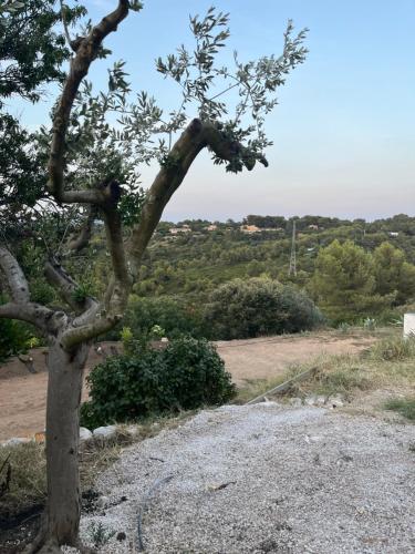 Photo de la galerie de l'établissement Havre de paix face a la Sainte Victoire, à Meyreuil