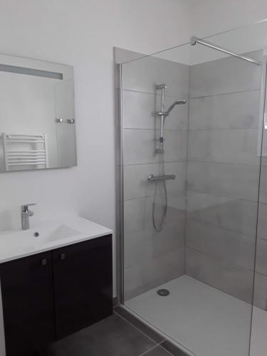 une salle de bain avec douche et lavabo dans l'établissement Plaisance, à Saint-Georges-dʼOléron