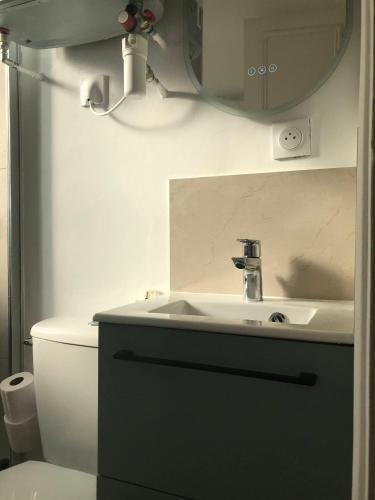 une salle de bain avec un lavabo et des toilettes dans l'établissement Charmant appartement Batignolles, à Paris