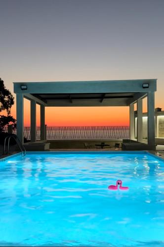 a swimming pool with a swan in the water at Villa Sunlight in Gonio
