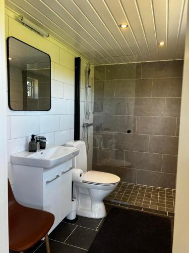 a bathroom with a toilet and a sink and a shower at Stugan i Vik på Österlen in Simrishamn