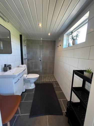 a bathroom with a white toilet and a sink at Stugan i Vik på Österlen in Simrishamn
