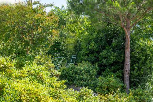 a tree in the middle of a forest of trees at Villa Cassia in Stazzona