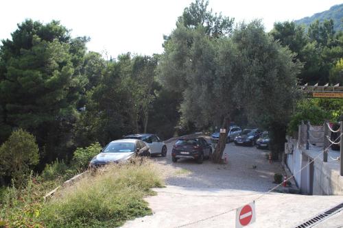 Φυσικό τοπίο κοντά σε αυτό το διαμέρισμα