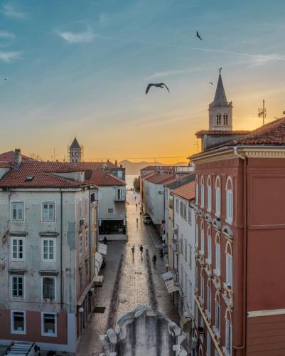 a view of a city street with buildings and birds at Mara in Zadar