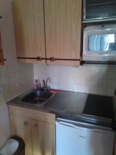 une cuisine avec un évier et un micro-ondes dans l'établissement Studio Pyrénées 2000 Font Romeu, à Bolquère-Pyrénées 2000